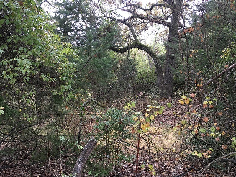 Picture 11