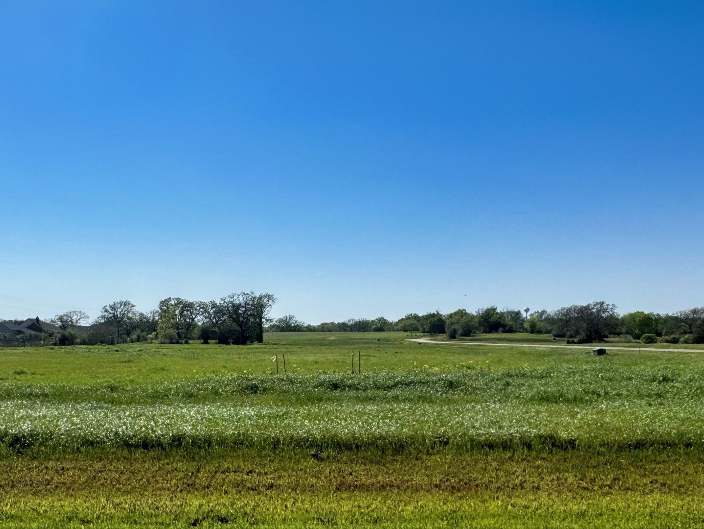 Residential Land in Iola, TX