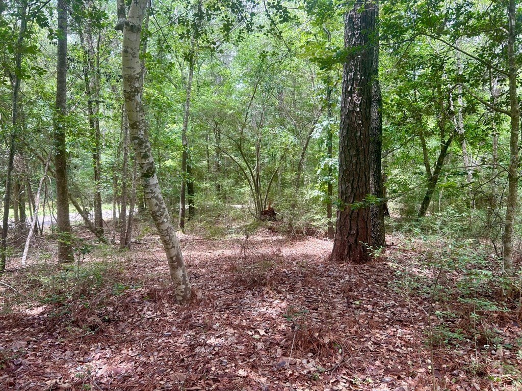 Picture 6