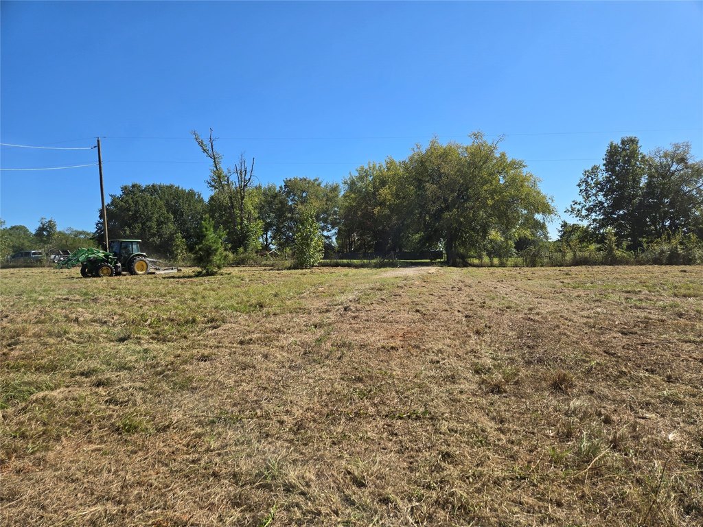 Picture 6