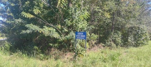 Land, Abbeville, AL