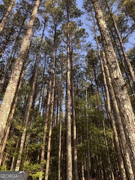 Rural Land Tract with Cemetery