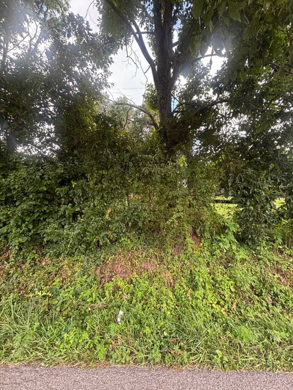 Picture 16