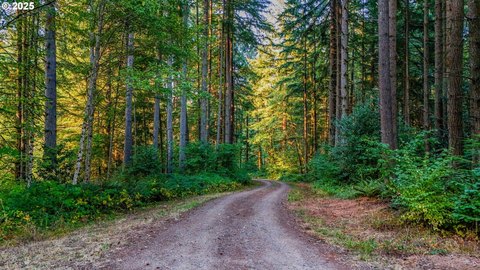 Woodland WA Land For Sale