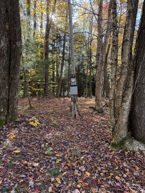Picture 5
