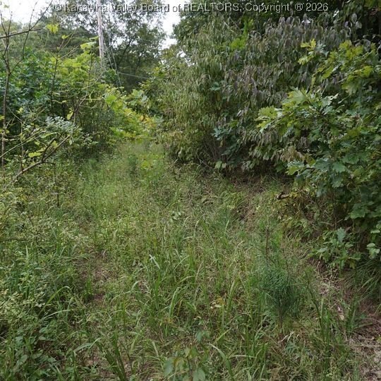 14 Acres for Dream Home