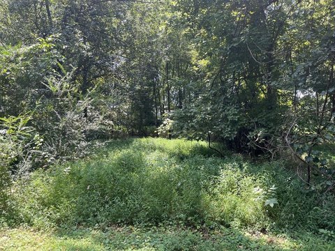 Land, PARIS, TN