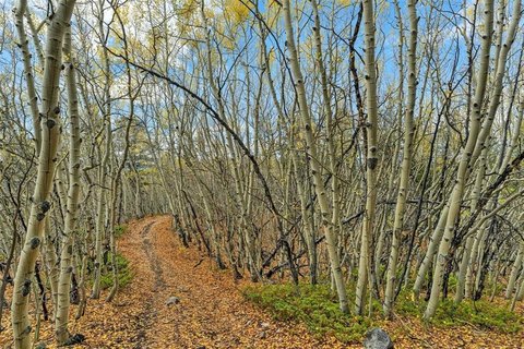 Land, LEADVILLE, CO