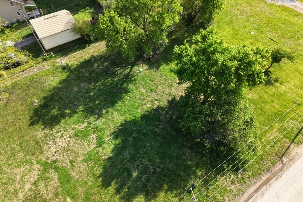 Picture 3