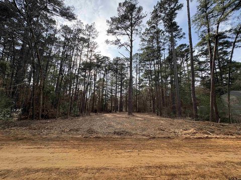Residential Lot Near Lake Palestine