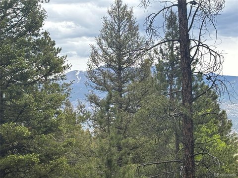 Land, Buena Vista, CO