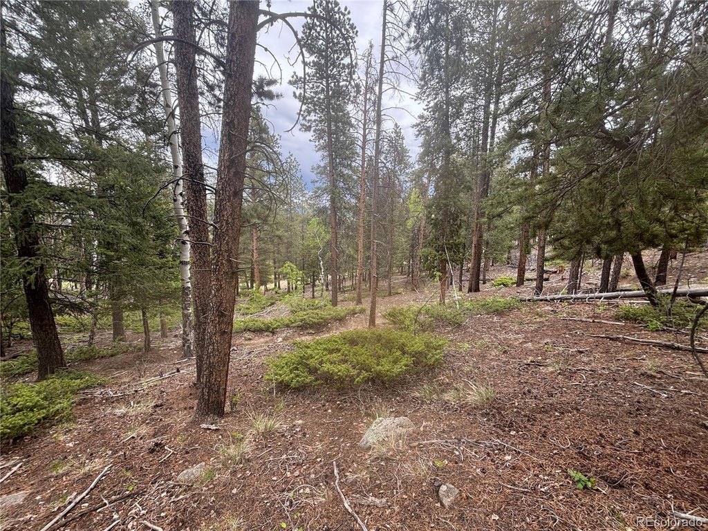 Picture 8