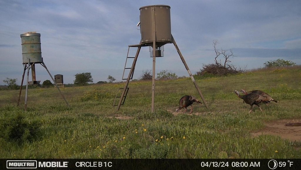 Picture 38