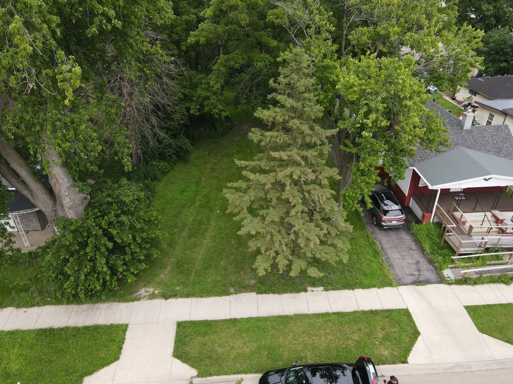 Picture 3