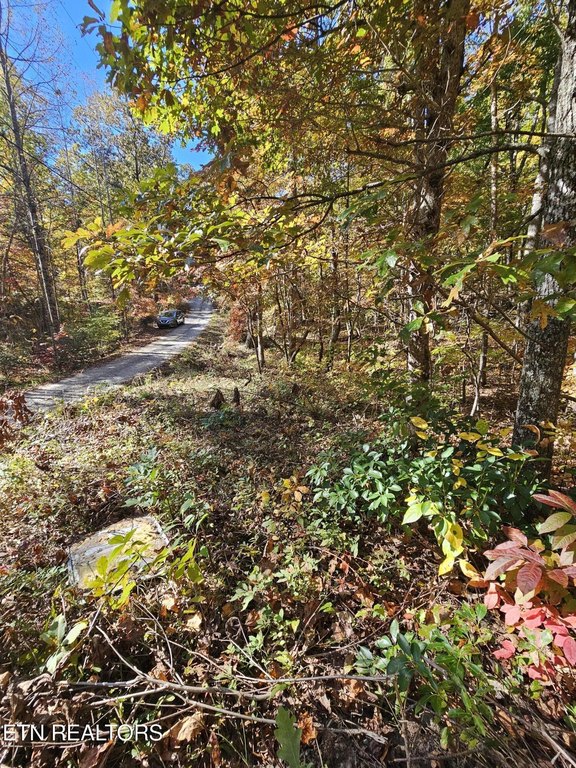 Picture 10