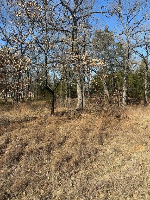 Land For Sale in Mabank