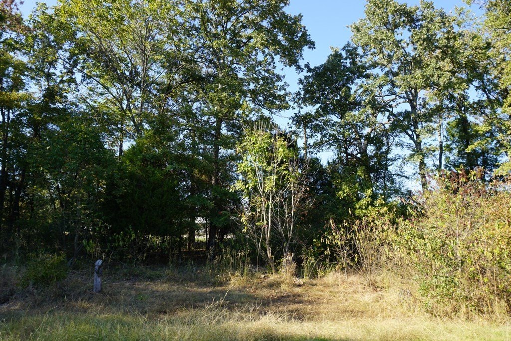 Picture 9