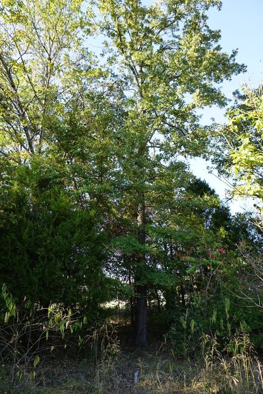 Picture 10