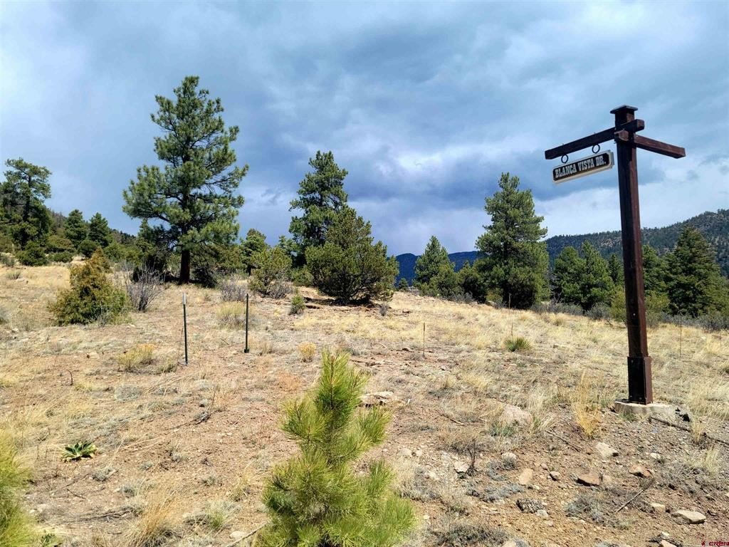 Land in South Fork, CO
