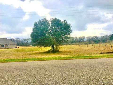Residential Land in Selma, Alabama