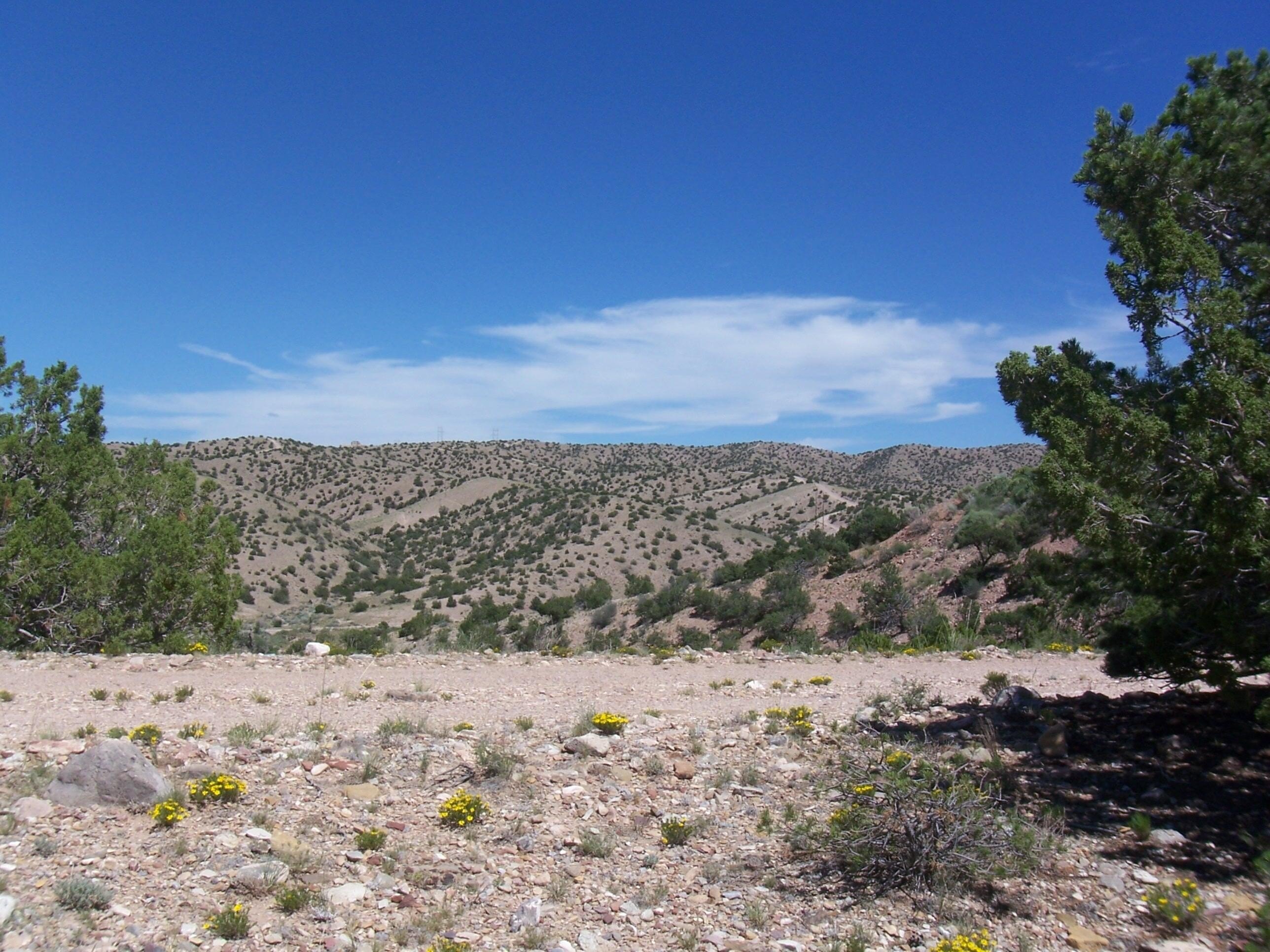 Placitas Land with Utilities