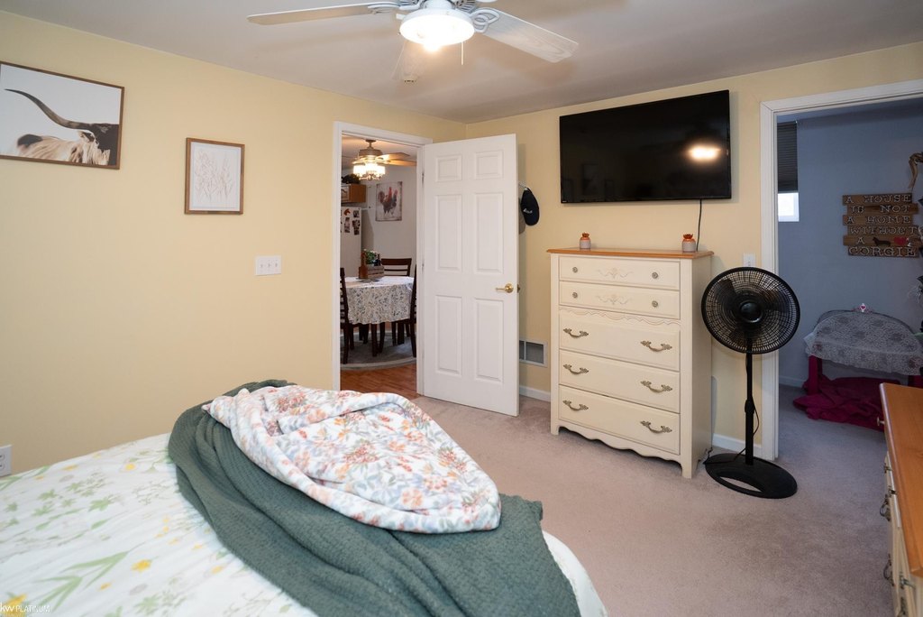 Picture 29
