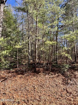 Crossville, TN Wooded Lot