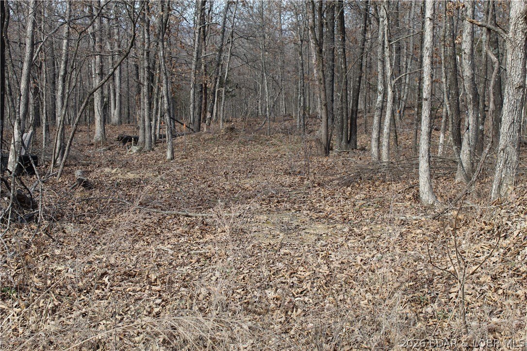 Land in Proctor Tower Estates