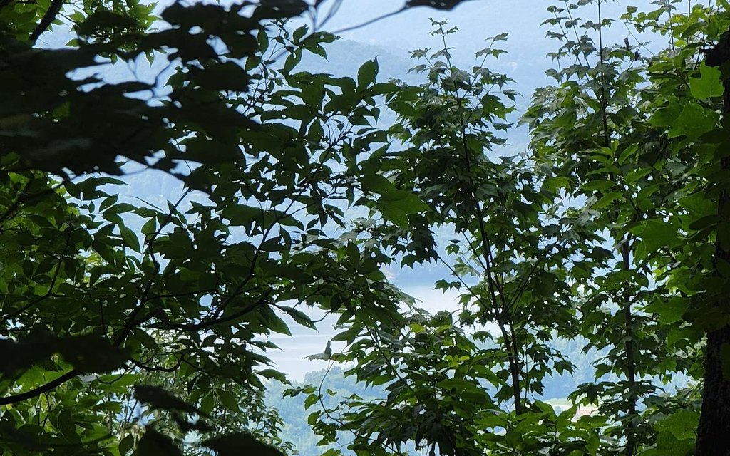 Picture 3