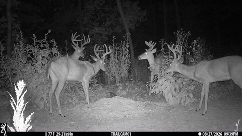 Hunting Land