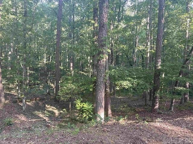 Hot Springs Village Land Parcel