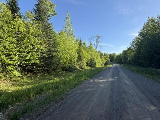 Picture 2