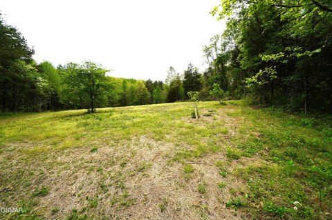 Rare Jefferson County Land Opportunity