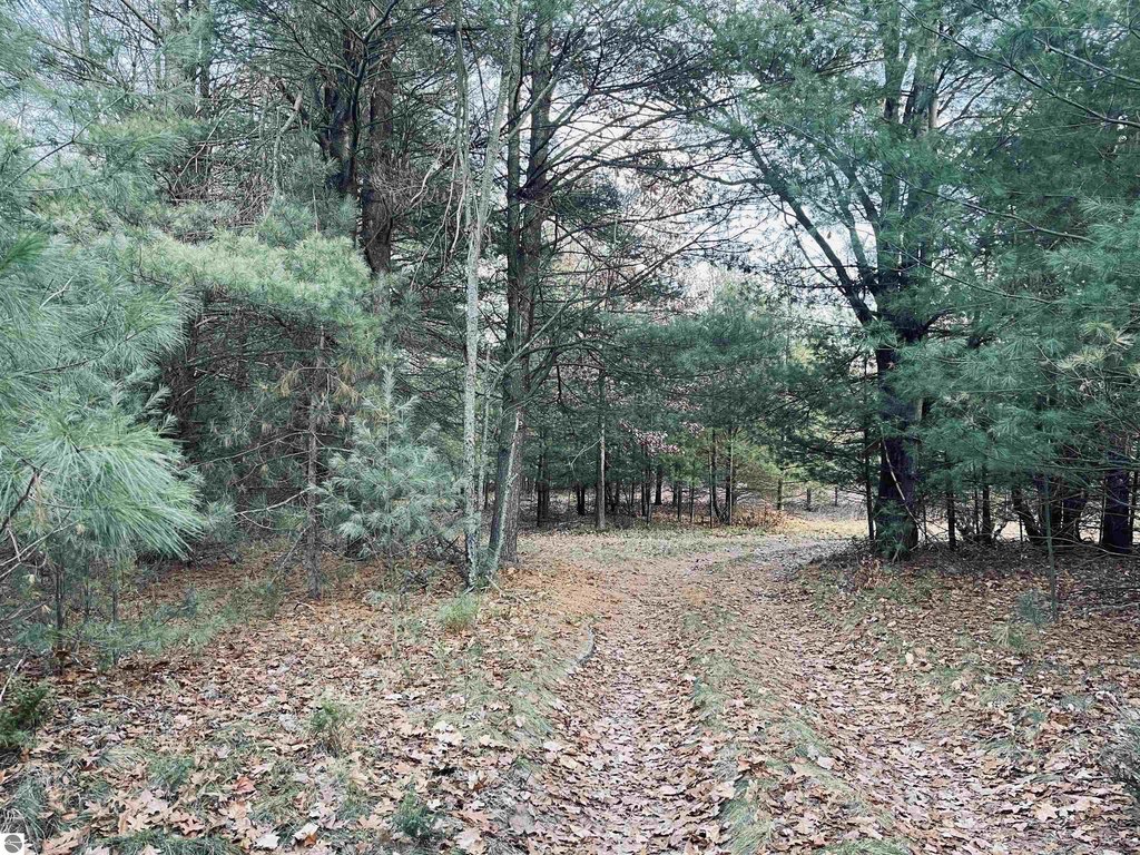 Picture 7
