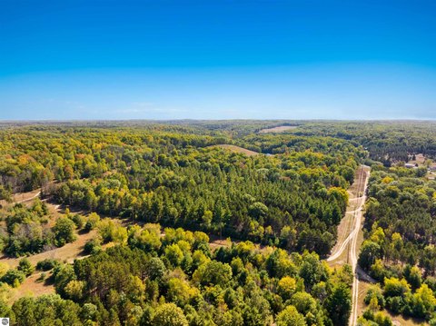 Wooded Recreational Residential Land