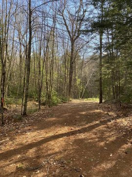 Secluded Land in Rural Windsor