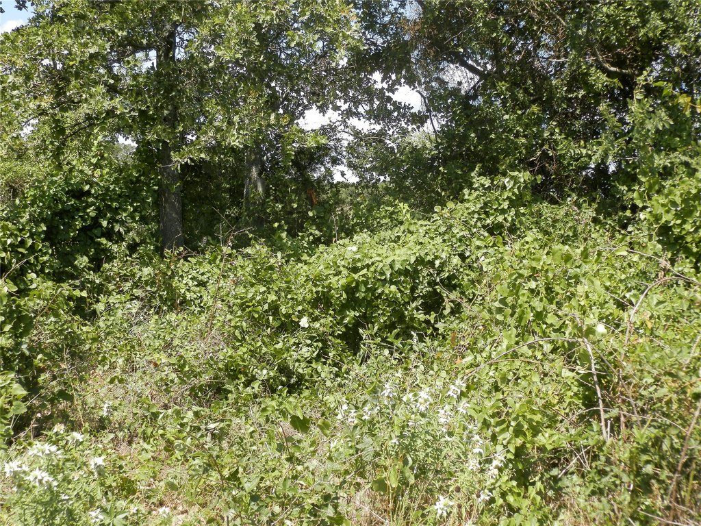 Picture 16