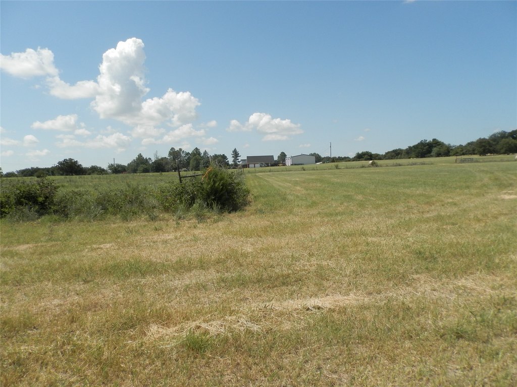 Picture 19