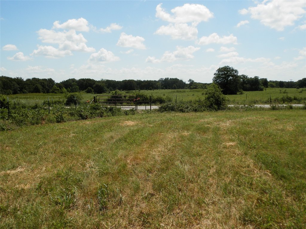 Picture 24