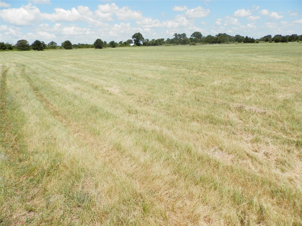 Picture 12