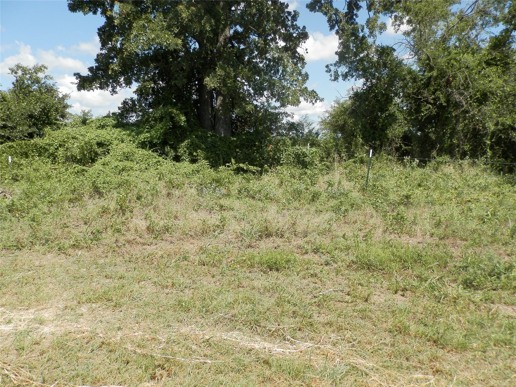 Picture 14