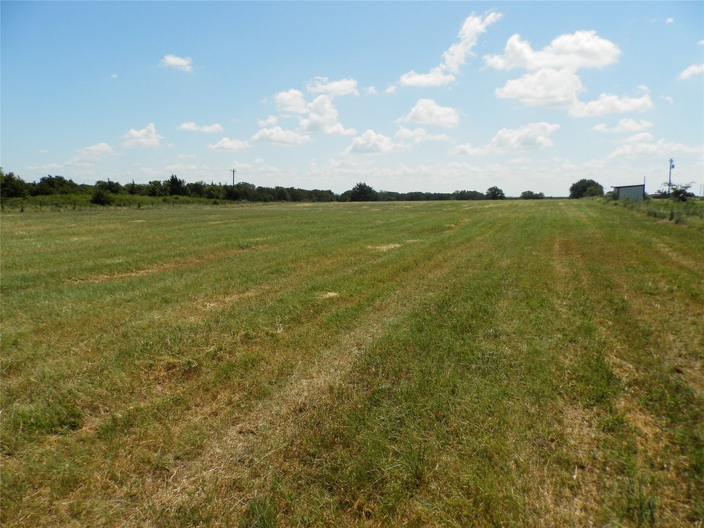 Picture 23
