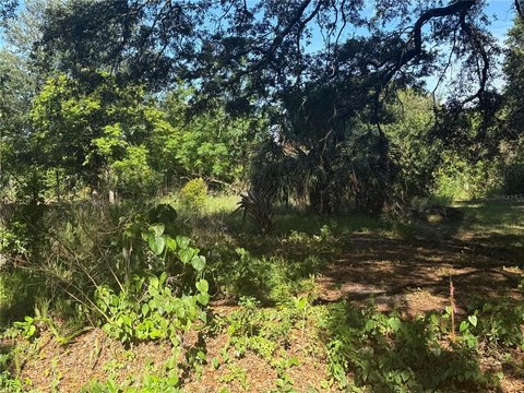Land - WINTER HAVEN, FL