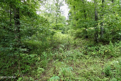 Parsons, TN Land Opportunity