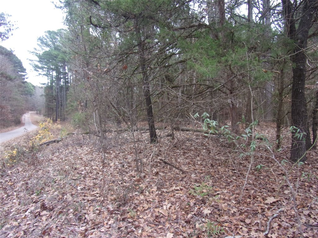 Picture 8