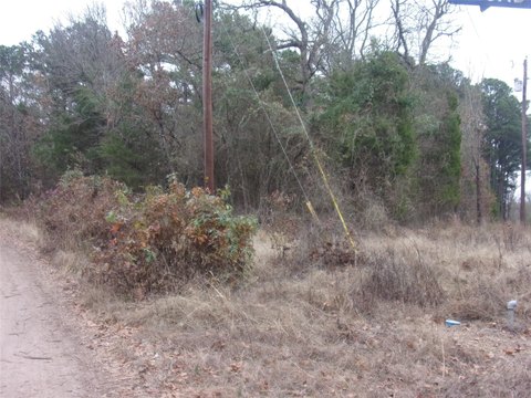 Murchison Treed Lot in Gated Community