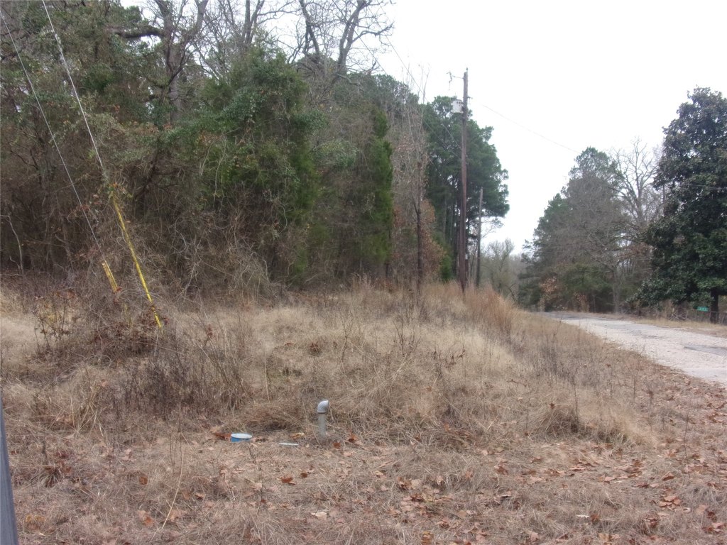 Picture 2