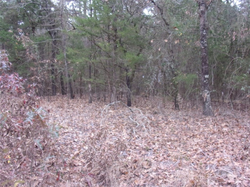 Picture 4