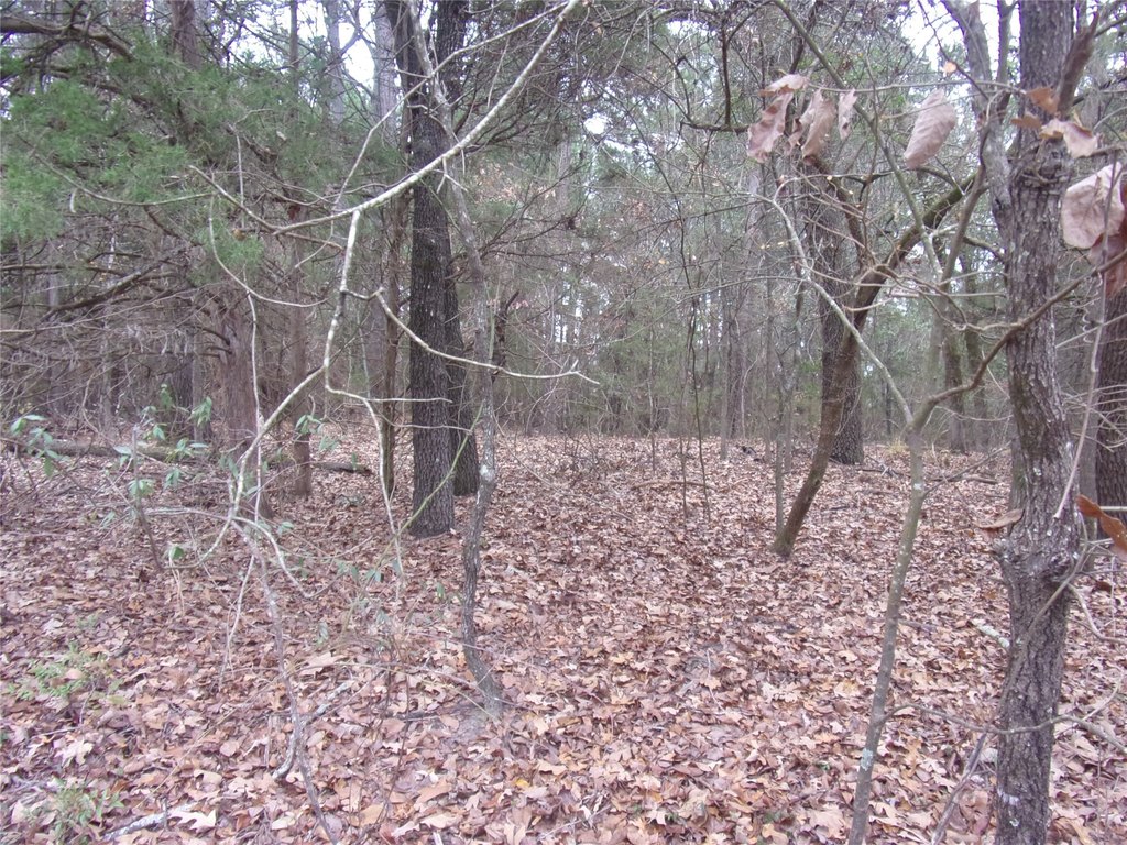 Picture 7