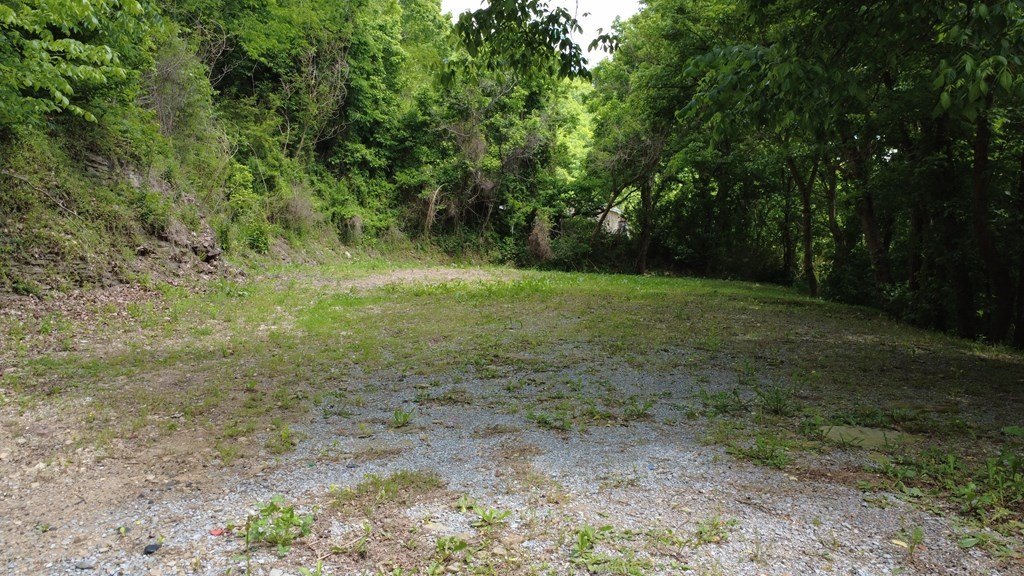 Picture 4